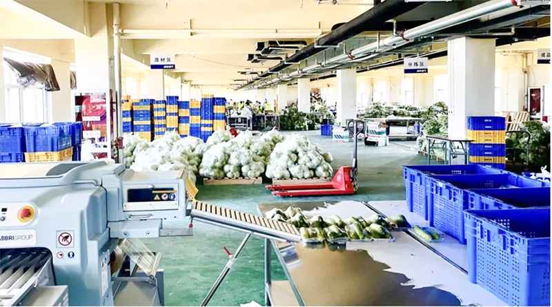 夢蝶科技案例分享：冷鏈物流企業跑步入局，數字化逐鹿百億級賽道